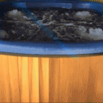 Eco Spa Blue gif